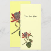 Vintage Passion Flower (Front/Back)