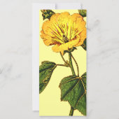 Vintage Passion Flower (Back)