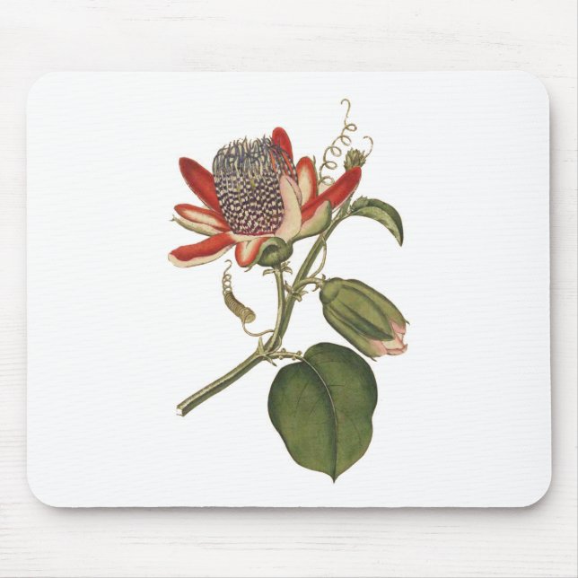 Vintage Passion Flower Mouse Pad (Front)