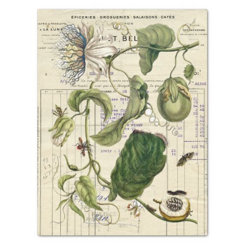 Vintage Passionflower French Script Botanical Tissue Paper