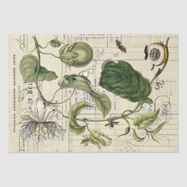 Vintage Passionflower French Script Botanical Tissue Paper (Front)