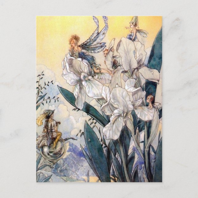 Vintage Pastel Blue Faires Postcard (Front)