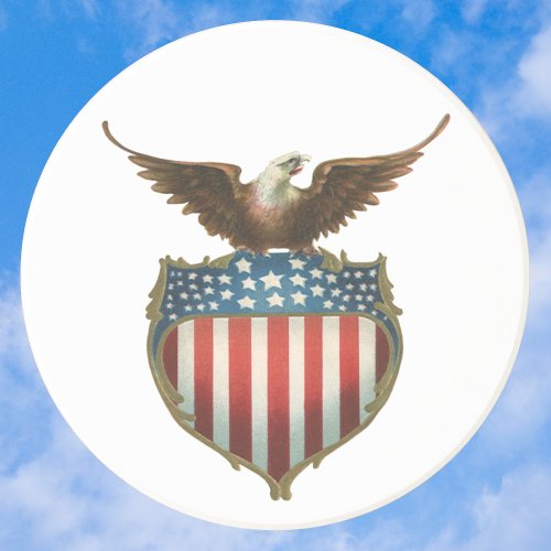 Vintage Patriotism Proud Eagle over American Flag Sandstone Coaster