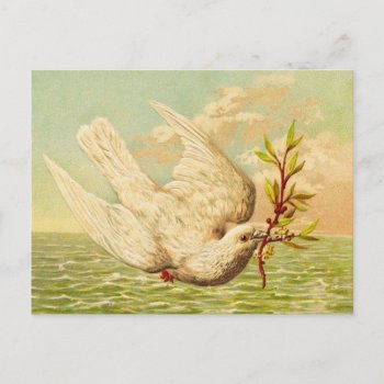 Vintage Peace Dove Postcard by Lovewhatwedo at Zazzle