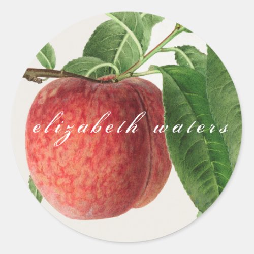 VINTAGE PEACH CUSTOMIZABLE ENVELOPE SEAL