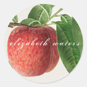 "VINTAGE PEACH" CUSTOMIZABLE ENVELOPE SEAL