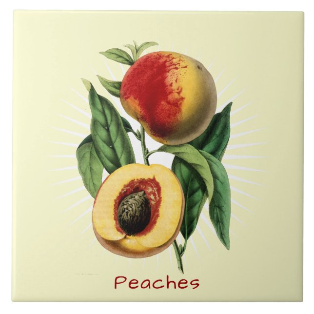 Vintage Peaches Fruit Botanical Art Ceramic Tile (Front)