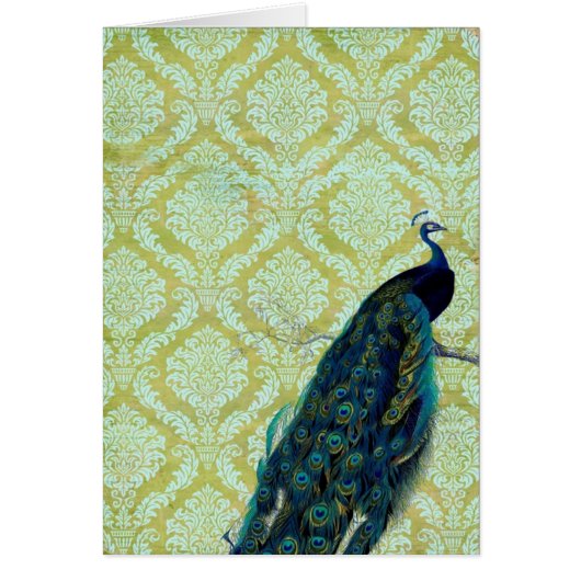 Vintage Peacock (Front)