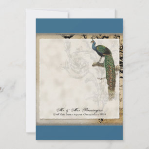 Vintage Peacock 6 - Thank You Flat Note Card