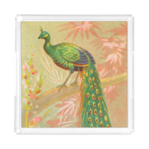 Vintage Peacock and flowers painting Acrylic Tray