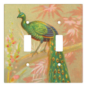 Vintage Peacock and flowers painting Light Switch Cover