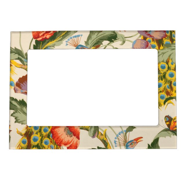Vintage Peacock and poppies illustrations Magnetic Frame (Front)