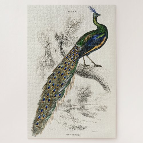 Vintage Peacock Art Jigsaw Puzzle Hard 1000 Pieces