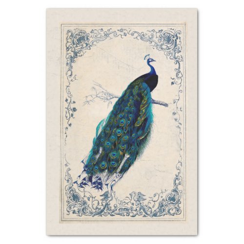 Vintage Peacock Blue Bird Frame Decoupage  Tissue Paper