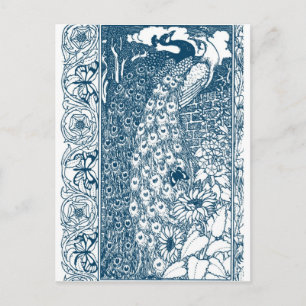 Vintage Peacock Botanical Art Postcard