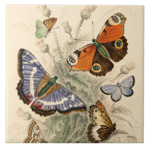 Vintage Peacock Butterflies Artistic Colorful Art Ceramic Tile