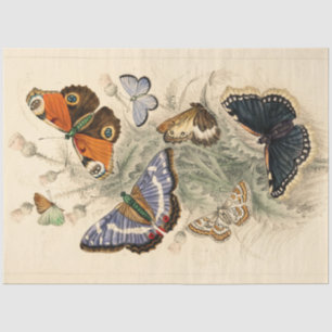 Vintage Peacock Butterflies Artistic Decoupage Tissue Paper