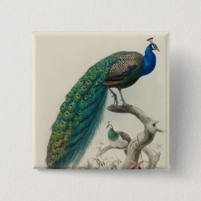 Vintage Peacock Button (Front)