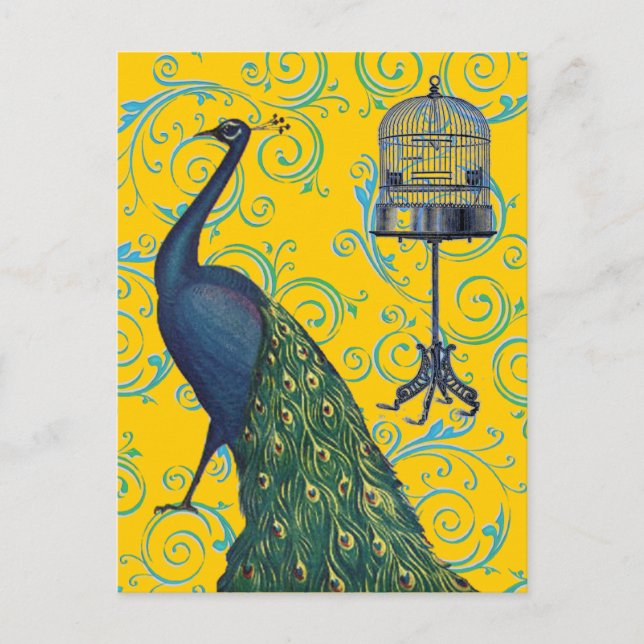 Vintage Peacock & Cage Postcard (Front)