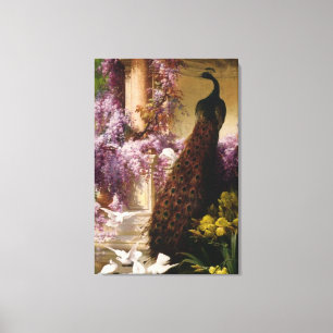 Vintage Peacock Canvas Print