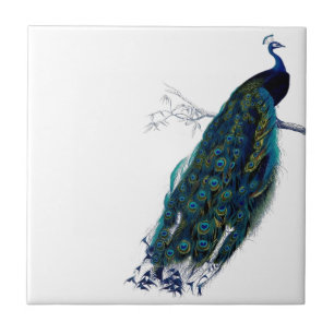 Vintage Peacock Ceramic Tile