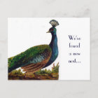 Blue Peacock Vintage Save the Date Postcard | Zazzle.com