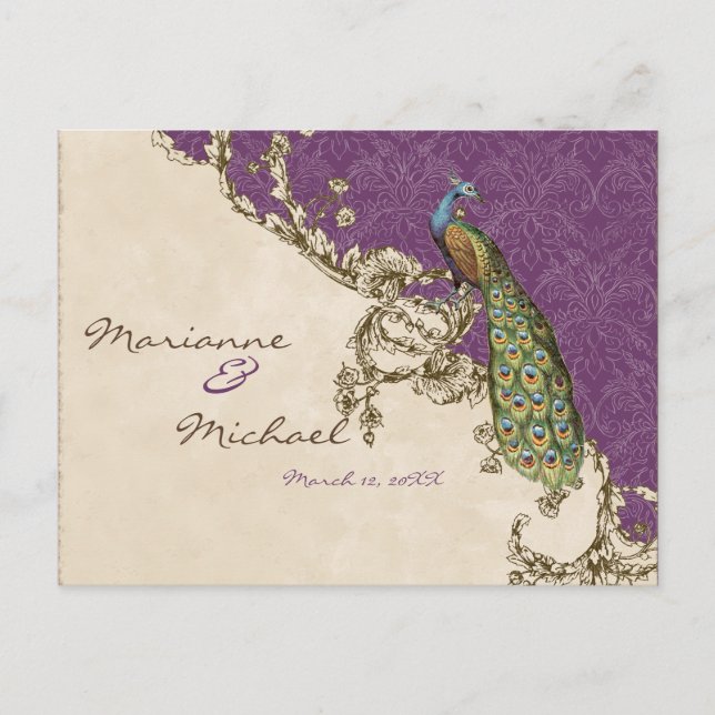 Vintage Peacock & Etchings RSVP Response Postcard (Front)