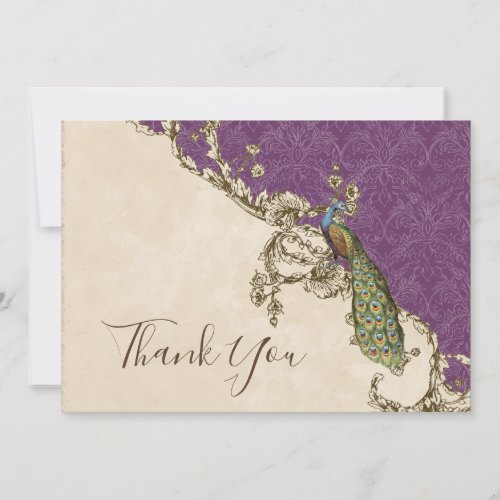 Vintage Peacock  Etchings Thank You Note Cards