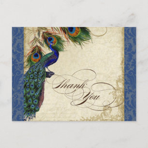 Vintage Peacock Feather Elegant Thank You Navy Postcard