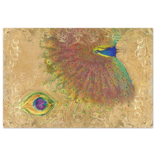 Vintage Peacock Feather Gilded Gold Scrollwork 1 Tissue Paper