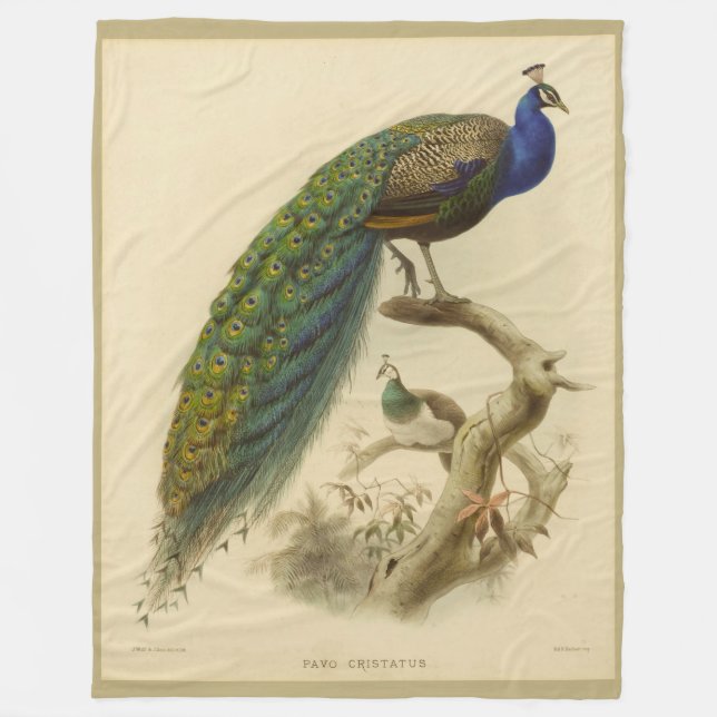 Vintage Peacock Fleece Blanket (Front)