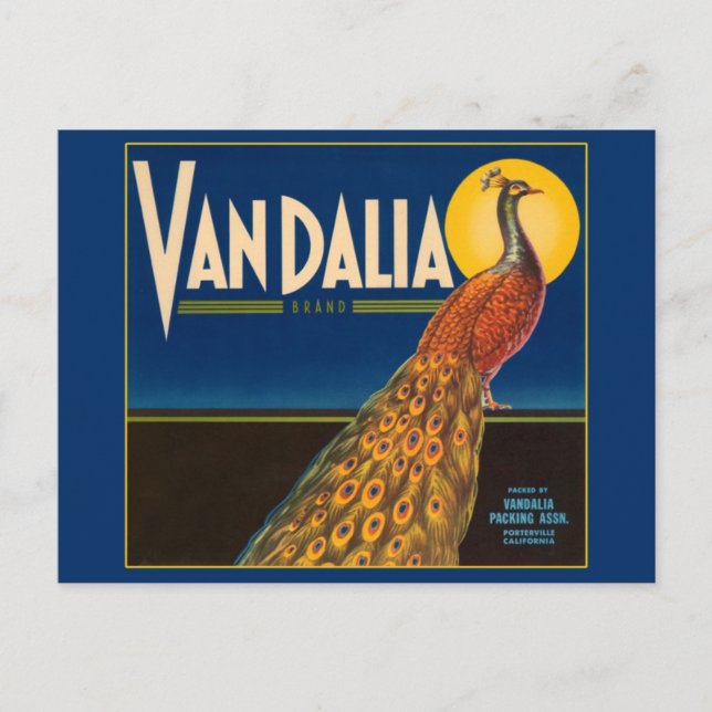 Vintage Peacock Fruit Crate Label Postcard (Front)