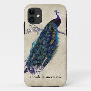 Vintage Peacock Full Feathers on Tattered Lace iPhone 11 Case