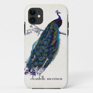 Vintage Peacock Full Feathers on Tattered Lace iPhone 11 Case