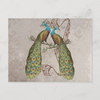 Vintage Peacock Grunge Damask Love Birds Postcard
