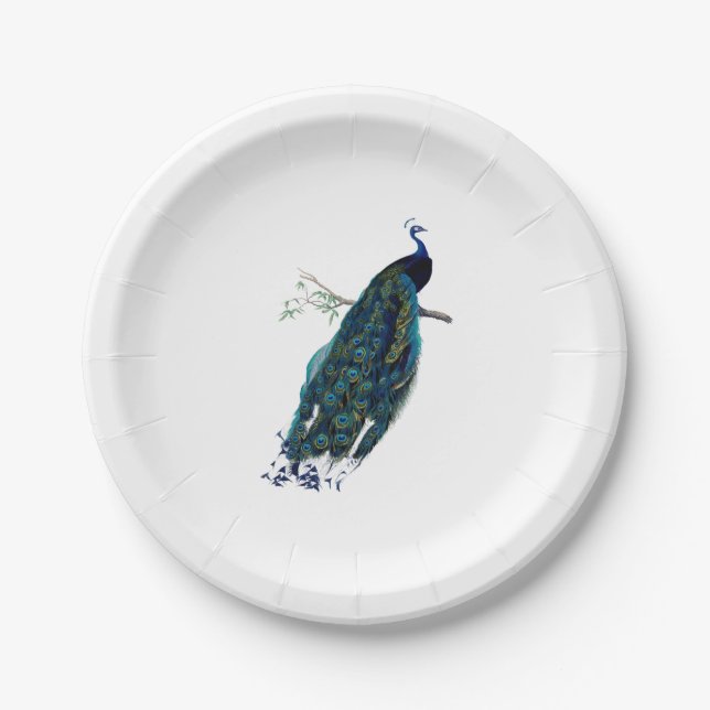 VIntage Peacock Illustration Paper Plates (Front)