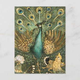 Vintage Peacock Illustration Postcard