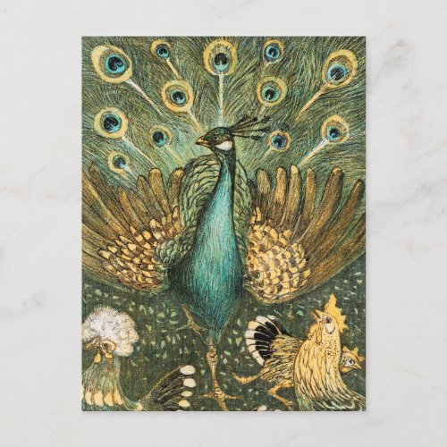 Vintage Peacock Illustration  Postcard