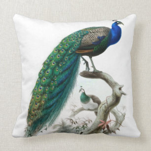Vintage Peacock Illustration Throw Pillow