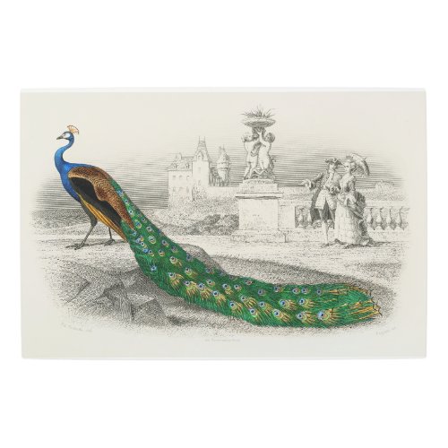 Vintage peacock illustration vintage birds metal print
