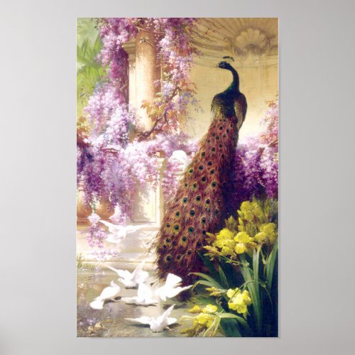 Vintage Peacock Image Poster