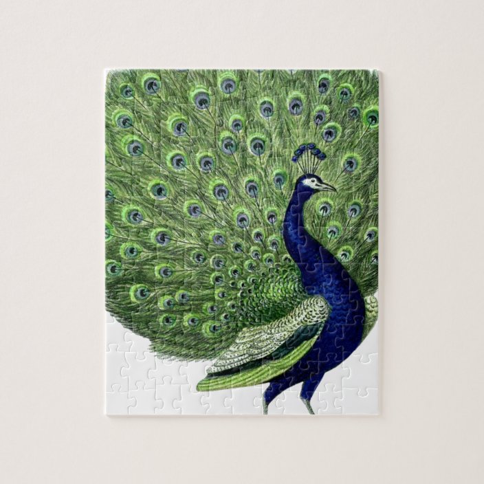 Vintage Peacock Jigsaw Puzzle | Zazzle.com