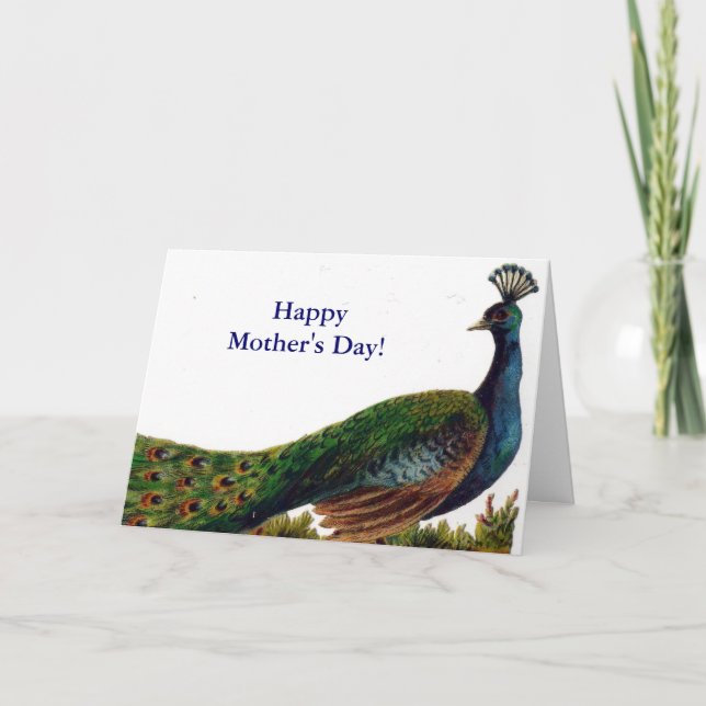 Vintage Peacock Mother's Day Card (Front)