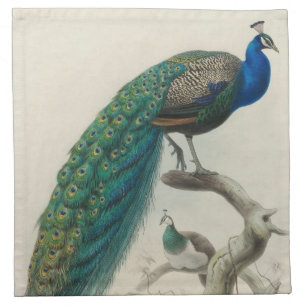 Vintage Peacock Napkin