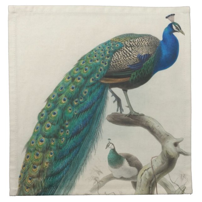 Vintage Peacock Napkin (Front)