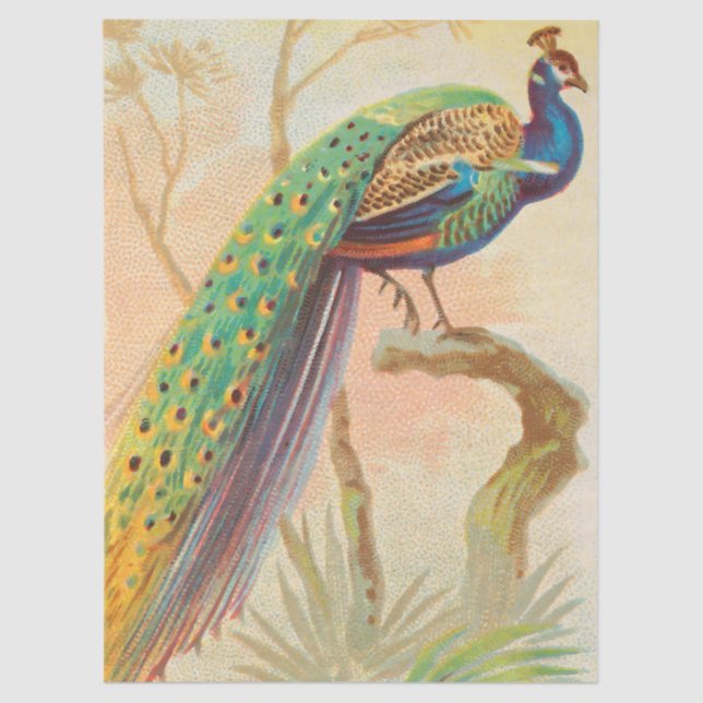 Vintage Peacock on a branch painting Tissue Paper (Front)