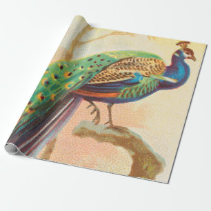 Vintage Peacock on a branch painting Wrapping Paper
