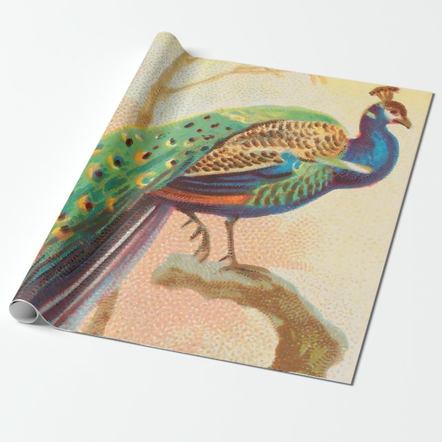 Vintage Peacock on a branch painting Wrapping Paper (Unrolled)