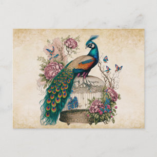 Vintage Peacock on Bird Cage Victorian Postcard
