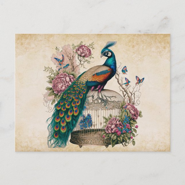 Vintage Peacock on Bird Cage Victorian  Postcard (Front)